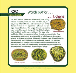 'Lichen' Nature Watch Panel