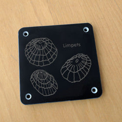 'Limpets' rubbing plaque