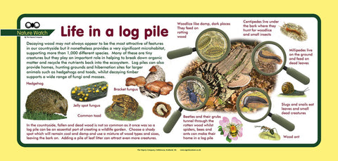 'Logpile' Nature Watch Plus Panel