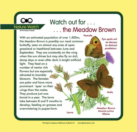 'Meadow brown' Nature Watch Panel