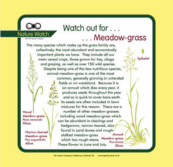 'Meadow grass' Nature Watch Panel