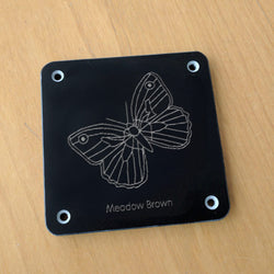'Meadow brown' rubbing plaque