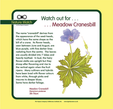 'Meadow cranesbill' Nature Watch Panel