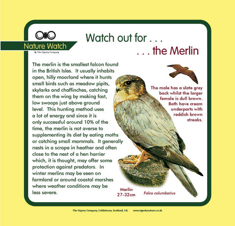 'Merlin' Nature Watch Panel