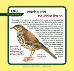'Mistle thrush' Nature Watch Panel