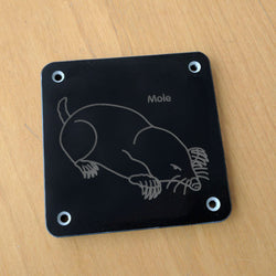 'Mole' rubbing plaque