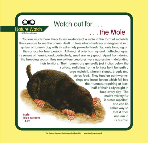 'Mole' Nature Watch Panel