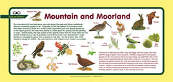 'Mountain and moorland' Nature Watch Plus Panel