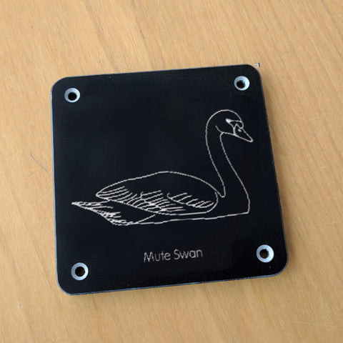 'Mute swan' rubbing plaque
