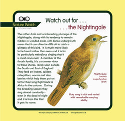 'Nightingale' Nature Watch Panel