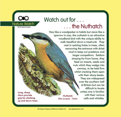 'Nuthatch' Nature Watch Panel