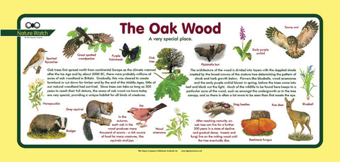 'Oakwood' Nature Watch Plus Panel