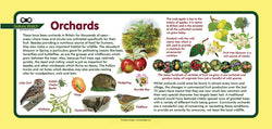 'Orchards' Nature Watch Plus Panel