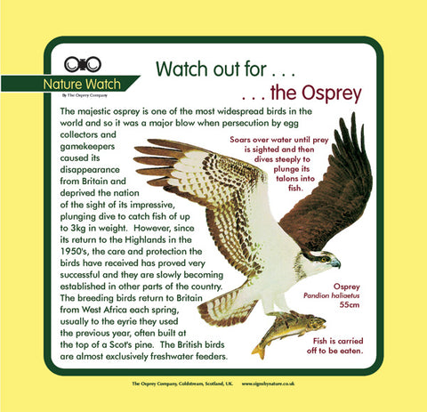 'Osprey' Nature Watch Panel