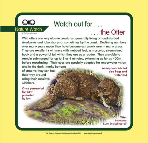 'Otter' Nature Watch Panel