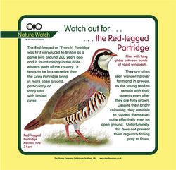 'Red-legged partridge' Nature Watch Panel