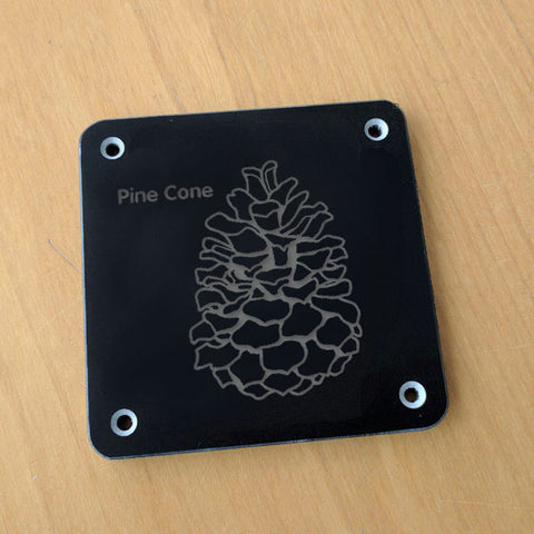 'Pine cone' rubbing plaque