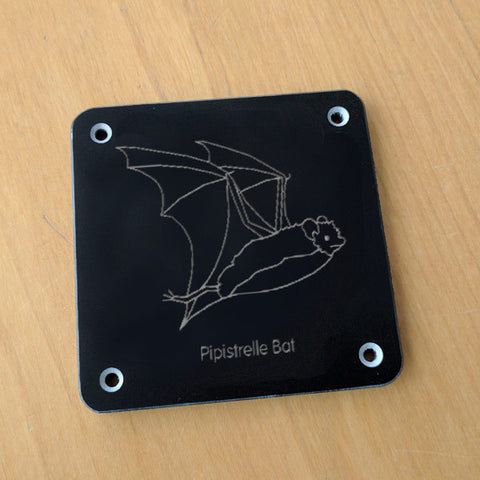 'Pipistrelle bat' rubbing plaque