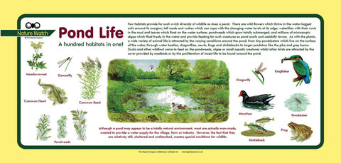 'Pond life' Nature Watch Plus Panel