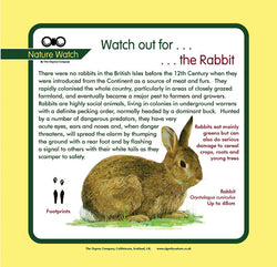 'Rabbit' Nature Watch Panel