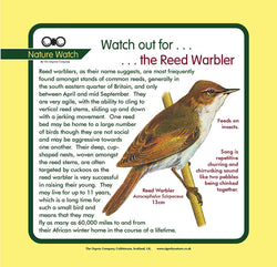 'Reed warbler' Nature Watch Panel