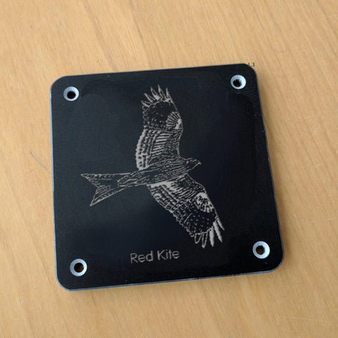 'Red kite' rubbing plaque
