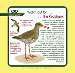 'Redshank' Nature Watch Panel