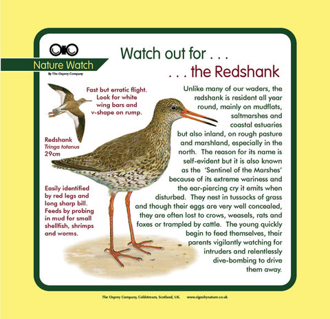 'Redshank' Nature Watch Panel