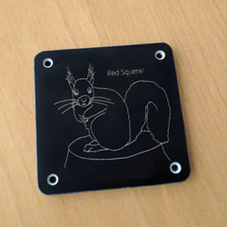 'Red squirrel' rubbing plaque