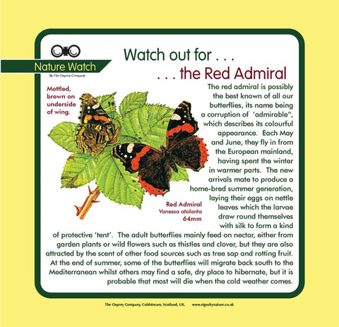 'Red admiral' Nature Watch Panel
