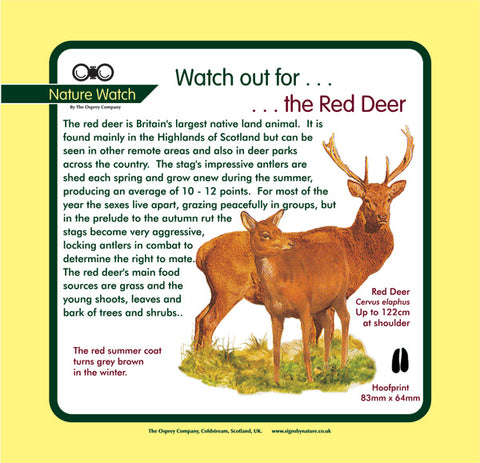 'Red deer' Nature Watch Panel