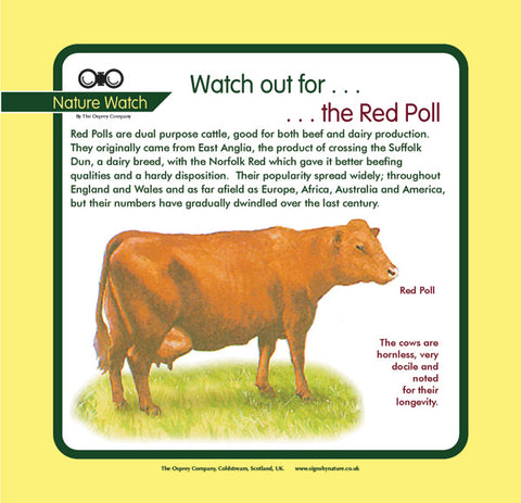 'Red poll' Nature Watch Panel