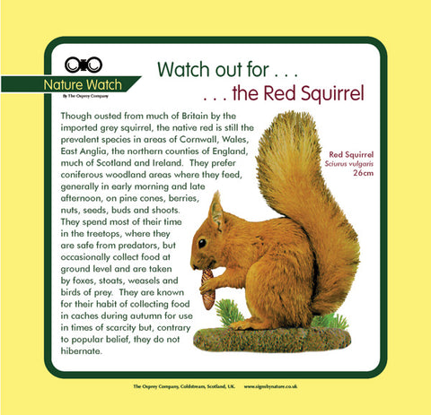'Red squirrel' Nature Watch Panel