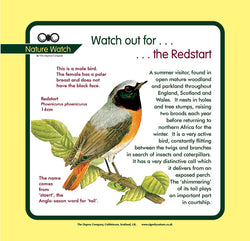 'Redstart' Nature Watch Panel