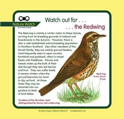 'Redwing' Nature Watch Panel