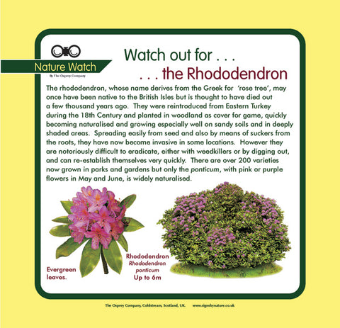 'Rhododendron' Nature Watch Panel