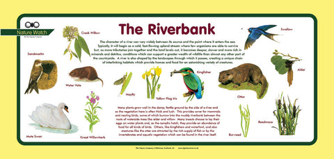 'Riverbank' Nature Watch Plus Panel