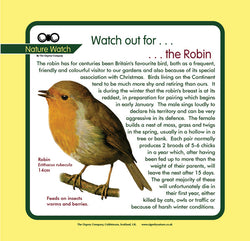 'Robin' Nature Watch Panel