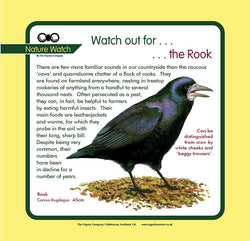 'Rook' Nature Watch Panel