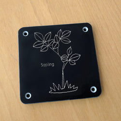 'Sapling' rubbing plaque