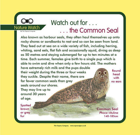 'Common Seal' Nature Watch Panel