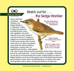 'Sedge watbler' Nature Watch Panel