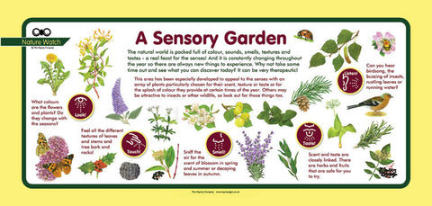 'Sensory garden' Nature Watch Plus Panel