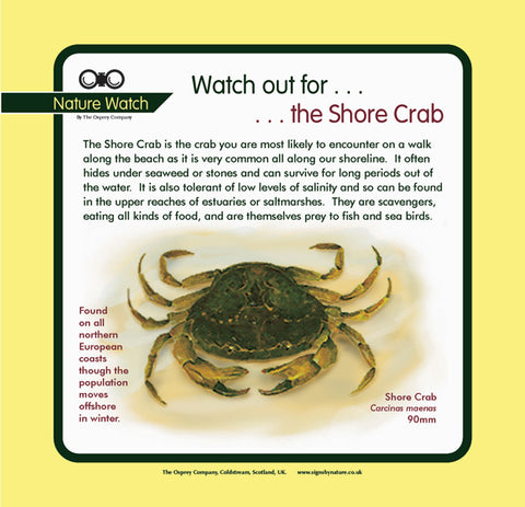 'Shore crab' Nature Watch Panel