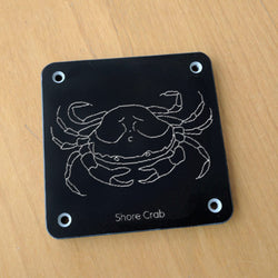 'Shore crab' rubbing plaque