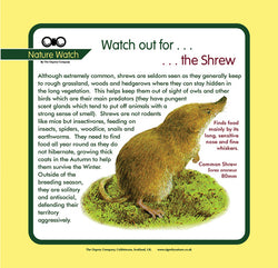 'Shrew' Nature Watch Panel