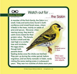 'Siskin' Nature Watch Panel