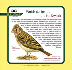 'Skylark' Nature Watch Panel