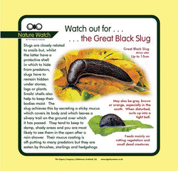'Slug' Nature Watch Panel