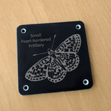 'Small pearl-bordered fritillary' rubbing plaque